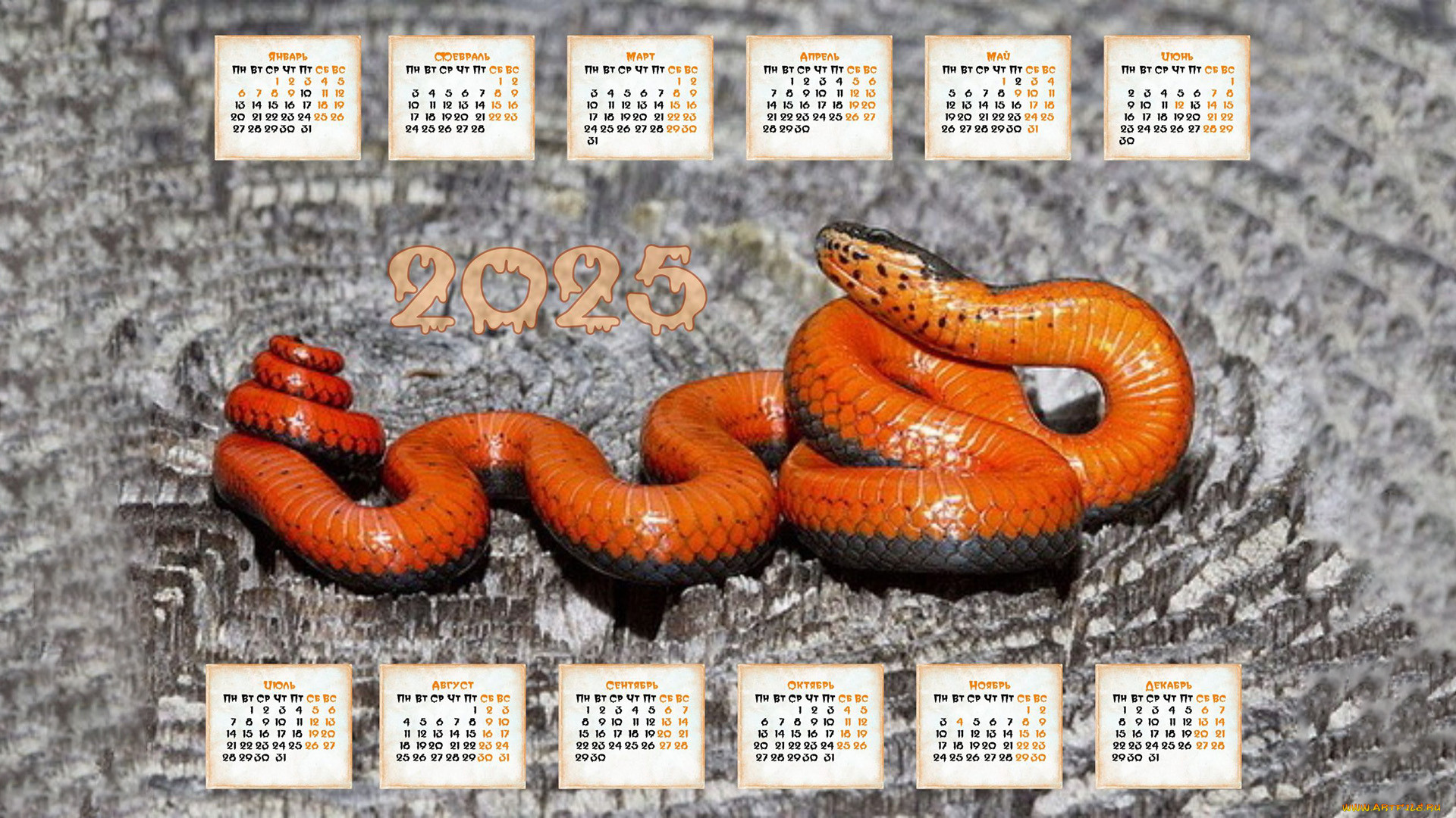 , , , , 2025